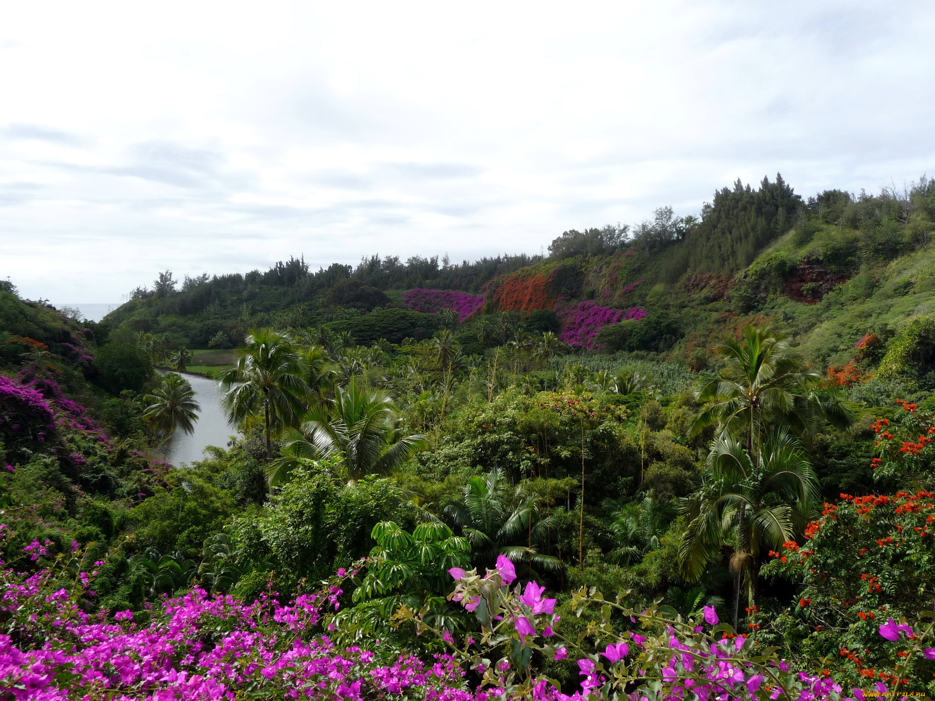 botanical, gardens, hawaii, , 